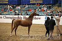 usn07_00892 proof