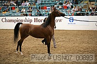 usn07_00893 proof