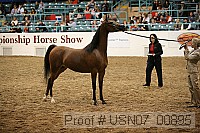 usn07_00895 proof