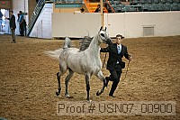 usn07_00900 proof