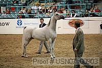 usn07_00903 proof