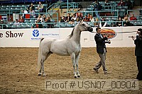 usn07_00904 proof