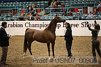 usn07_00905 proof