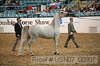 usn07_00907 proof