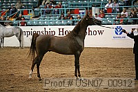 usn07_00912 proof