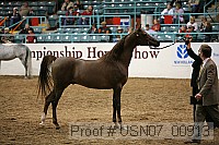 usn07_00913 proof