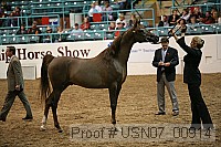usn07_00914 proof
