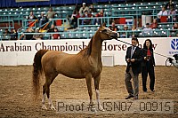 usn07_00915 proof