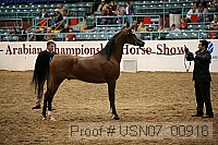usn07_00916 proof