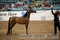 usn07_00917 proof