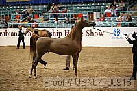 usn07_00918 proof