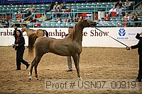 usn07_00919 proof