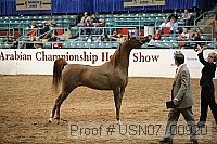 usn07_00920 proof
