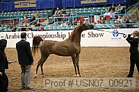 usn07_00921 proof