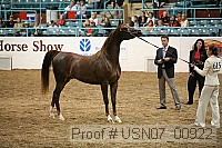 usn07_00922 proof