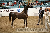 usn07_00923 proof