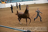 usn07_j03603 proof