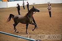 usn07_j03608 proof
