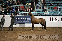 usn07_j03613 proof