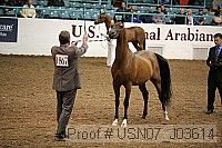 usn07_j03614 proof