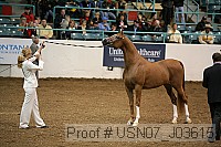 usn07_j03615 proof