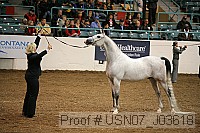 usn07_j03618 proof