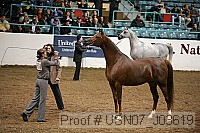 usn07_j03619 proof