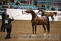 usn07_j03629 proof