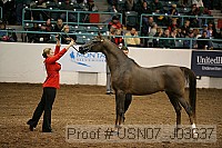 usn07_j03637 proof