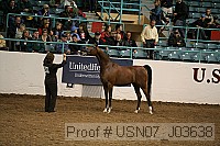 usn07_j03638 proof