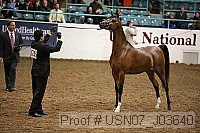 usn07_j03640 proof