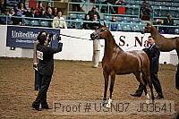 usn07_j03641 proof
