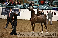 usn07_j03644 proof