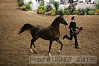 usn07_j04198 proof