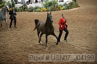 usn07_j04199 proof