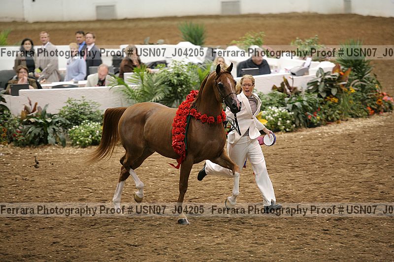 Proof usn07_j04205