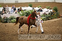 usn07_j04205 proof