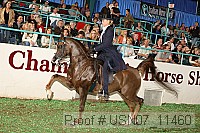 usn07_11460 proof