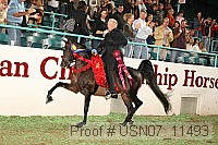 usn07_11493 proof