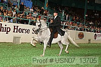 usn07_13705 proof