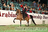 usn07_13731 proof