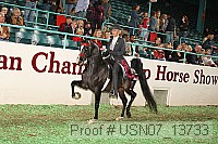 usn07_13733 proof