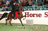 usn07_13737 proof