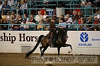 usn07_07367 proof