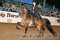 usn07_04151 proof