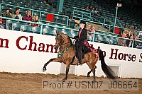 usn07_j06654 proof