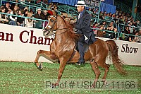 usn07_11166 proof
