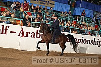 usn07_08119 proof