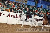 usn07_08120 proof