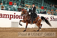 usn07_04661 proof